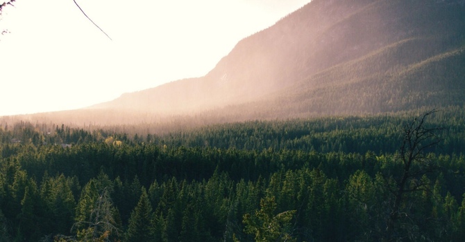 Emergency Chiropractic